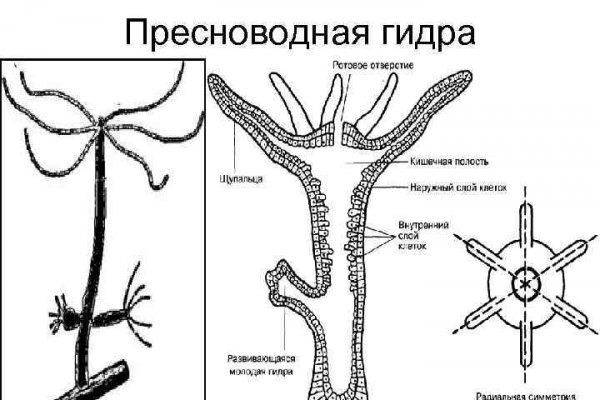 Кракен магазин тор