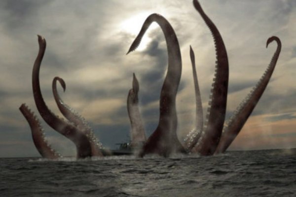 Kraken рабочее зеркало