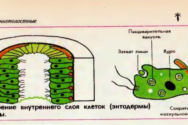 Кракен маркетплейс тор