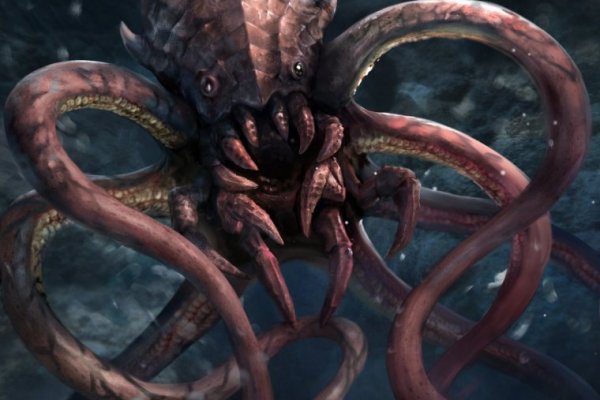 Kraken даркнет переходник